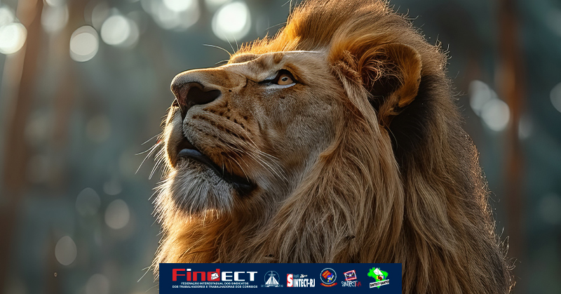 Imposto de Renda: Trabalhadores enfrentam inconsistências e SINTECT-SP cobra respostas de Postal Saúde e Correios